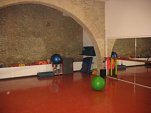 Area della ginnastica